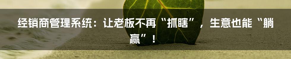 经销商管理系统：让老板不再“抓瞎”，生意也能“躺赢”！