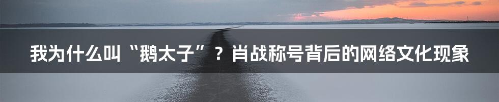 我为什么叫“鹅太子”？肖战称号背后的网络文化现象