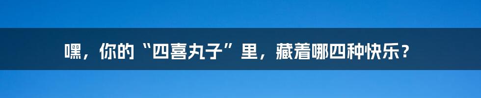 嘿,你的“四喜丸子”里,藏着哪四种快乐?