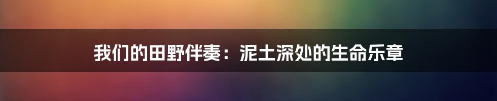 我们的田野伴奏：泥土深处的生命乐章