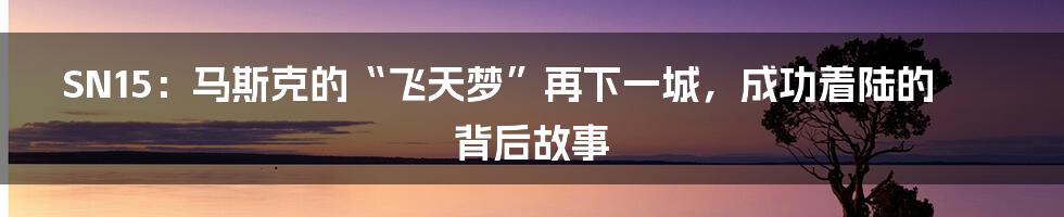 SN15：马斯克的“飞天梦”再下一城，成功着陆的背后故事