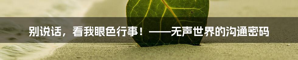 别说话，看我眼色行事！——无声世界的沟通密码