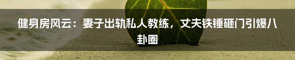 健身房风云:妻子出轨私人教练,丈夫铁锤砸门引爆八卦圈