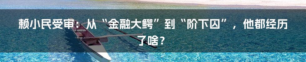 赖小民受审:从“金融大鳄”到“阶下囚”,他都经历了啥?