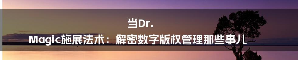 当Dr. Magic施展法术：解密数字版权管理那些事儿