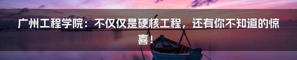 广州工程学院：不仅仅是硬核工程，还有你不知道的惊喜！