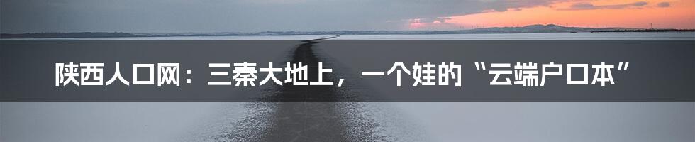 陕西人口网：三秦大地上，一个娃的“云端户口本”