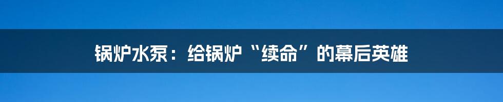 锅炉水泵:给锅炉“续命”的幕后英雄