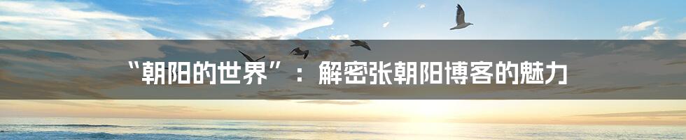 “朝阳的世界”：解密张朝阳博客的魅力