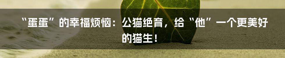 “蛋蛋”的幸福烦恼：公猫绝育，给“他”一个更美好的猫生！