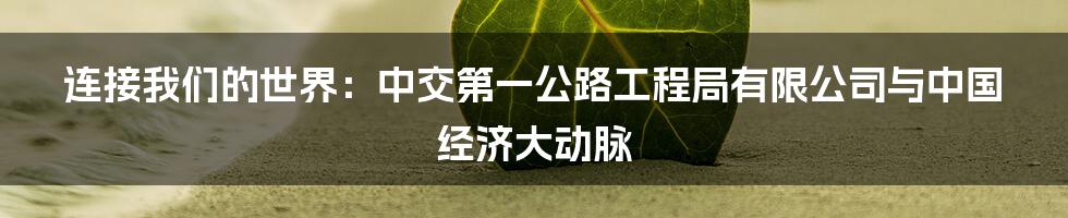连接我们的世界：中交第一公路工程局有限公司与中国经济大动脉
