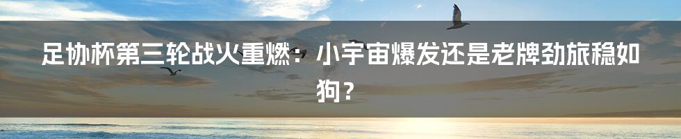 足协杯第三轮战火重燃：小宇宙爆发还是老牌劲旅稳如狗？