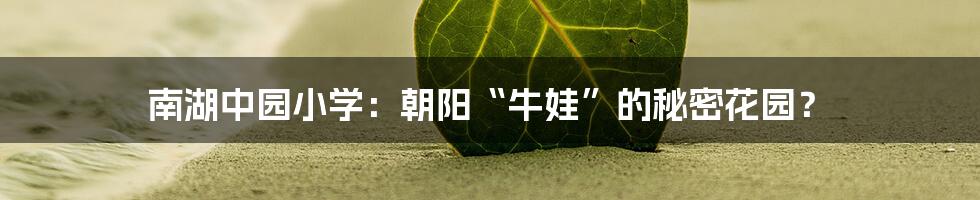 南湖中园小学：朝阳“牛娃”的秘密花园？