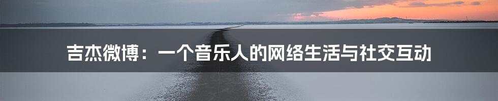 吉杰微博：一个音乐人的网络生活与社交互动