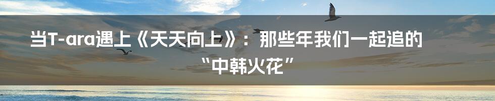 当T-ara遇上《天天向上》：那些年我们一起追的“中韩火花”