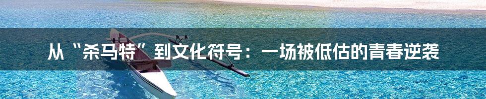 从“杀马特”到文化符号:一场被低估的青春逆袭