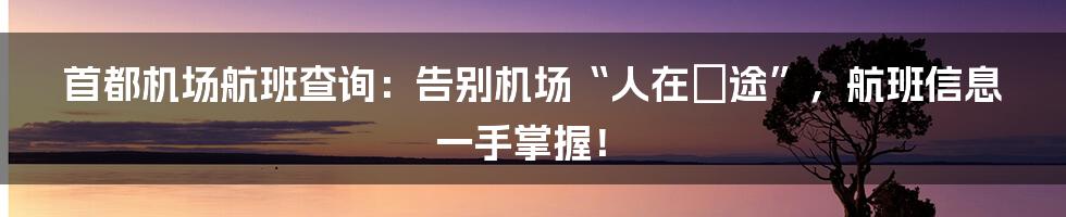 首都机场航班查询：告别机场“人在囧途”，航班信息一手掌握！