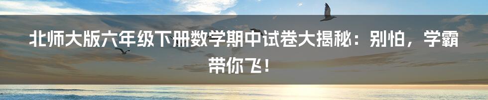 北师大版六年级下册数学期中试卷大揭秘：别怕，学霸带你飞！
