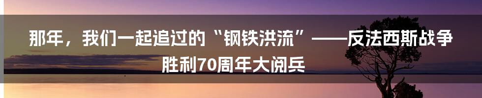 那年，我们一起追过的“钢铁洪流”——反法西斯战争胜利70周年大阅兵