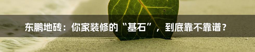 东鹏地砖:你家装修的“基石”,到底靠不靠谱?