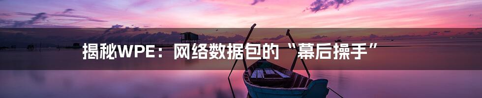 揭秘WPE：网络数据包的“幕后操手”