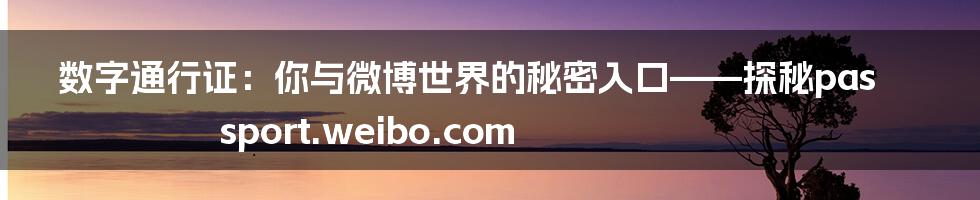 数字通行证:你与微博世界的秘密入口——探秘passport.weibo.com