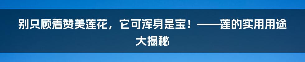 别只顾着赞美莲花，它可浑身是宝！——莲的实用用途大揭秘