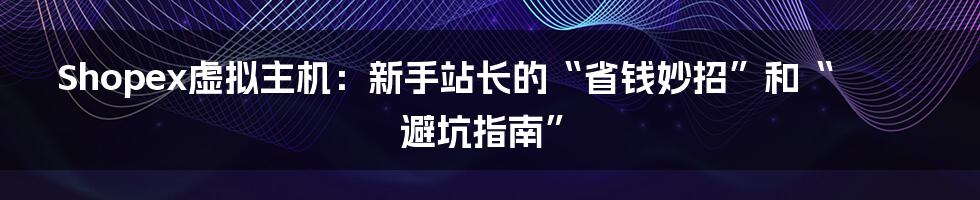 Shopex虚拟主机:新手站长的“省钱妙招”和“避坑指南”