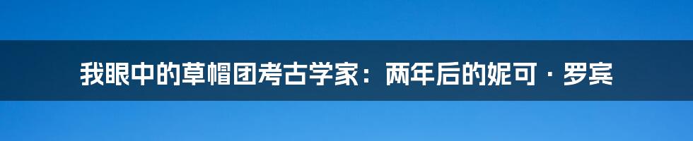 我眼中的草帽团考古学家:两年后的妮可·罗宾