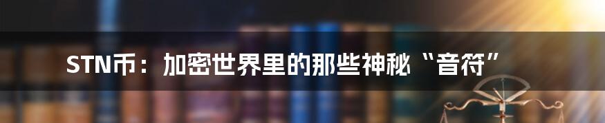 STN币：加密世界里的那些神秘“音符”