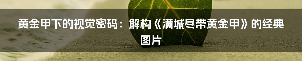 黄金甲下的视觉密码：解构《满城尽带黄金甲》的经典图片