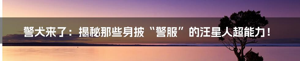 警犬来了:揭秘那些身披“警服”的汪星人超能力!