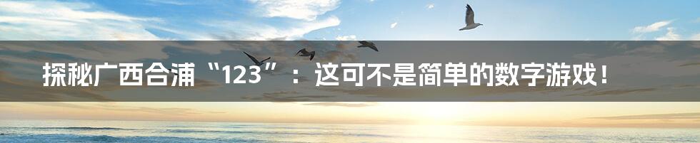 探秘广西合浦“123”：这可不是简单的数字游戏！