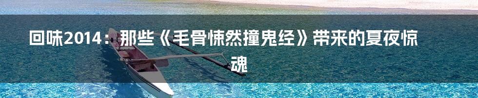 回味2014：那些《毛骨悚然撞鬼经》带来的夏夜惊魂