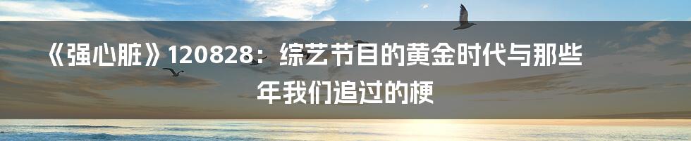 《强心脏》120828：综艺节目的黄金时代与那些年我们追过的梗