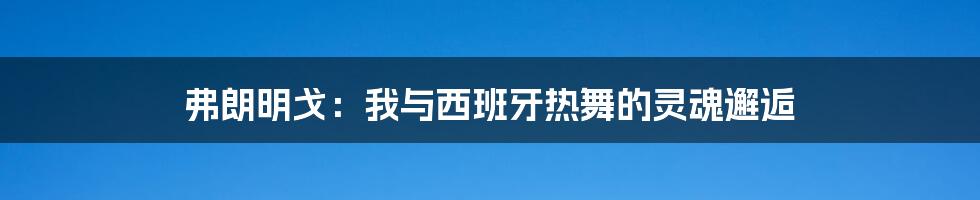 弗朗明戈：我与西班牙热舞的灵魂邂逅