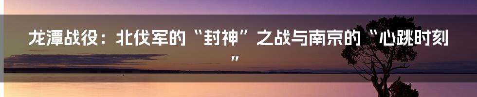 龙潭战役:北伐军的“封神”之战与南京的“心跳时刻”