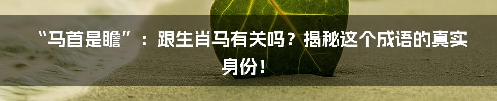 “马首是瞻”：跟生肖马有关吗？揭秘这个成语的真实身份！