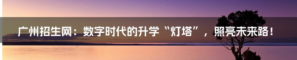 广州招生网：数字时代的升学“灯塔”，照亮未来路！