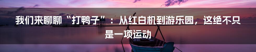 我们来聊聊“打鸭子”：从红白机到游乐园，这绝不只是一项运动