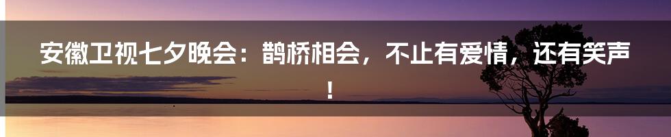 安徽卫视七夕晚会：鹊桥相会，不止有爱情，还有笑声！