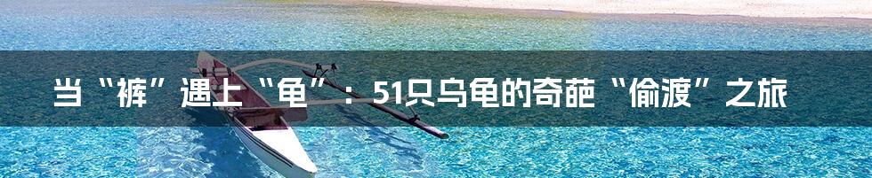 当“裤”遇上“龟”：51只乌龟的奇葩“偷渡”之旅