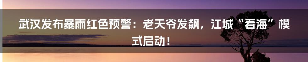 武汉发布暴雨红色预警：老天爷发飙，江城“看海”模式启动！