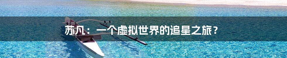 苏凡：一个虚拟世界的追星之旅？