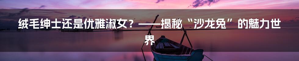 绒毛绅士还是优雅淑女？——揭秘“沙龙兔”的魅力世界