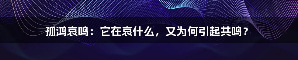 孤鸿哀鸣：它在哀什么，又为何引起共鸣？