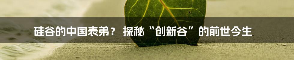 硅谷的中国表弟？ 探秘“创新谷”的前世今生