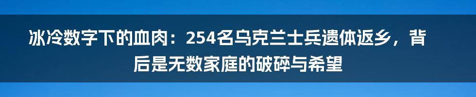 冰冷数字下的血肉：254名乌克兰士兵遗体返乡，背后是无数家庭的破碎与希望