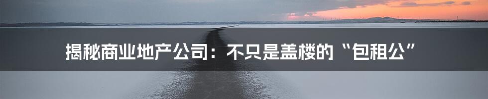 揭秘商业地产公司：不只是盖楼的“包租公”