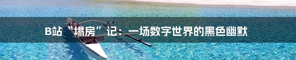 B站“塌房”记：一场数字世界的黑色幽默